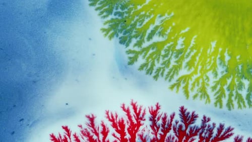 Crystal Germination