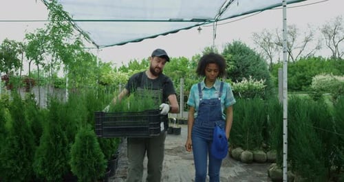 Gardeners Walking in Nursery Garden