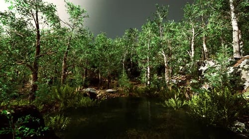 Forest Spring Landscape with Overgrown Pond