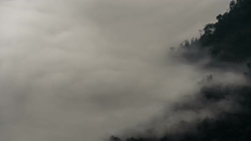 Mountain Forest Engulfed in Thick Clouds