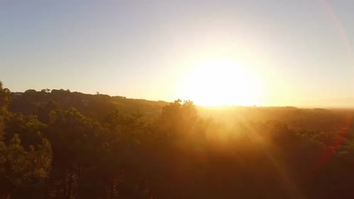 La lumière du soleil traverse les arbres