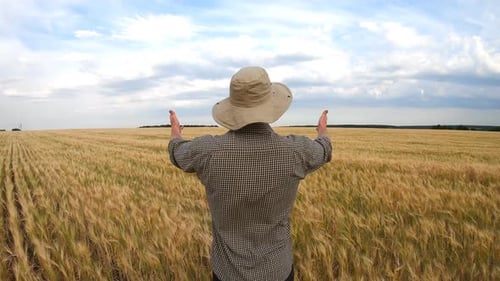 Young Agronomist Standing on Ripe Barley Field and Raising Hands on His Golden Plantation