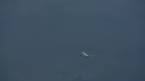 Ein Flugzeug im grauen Himmel