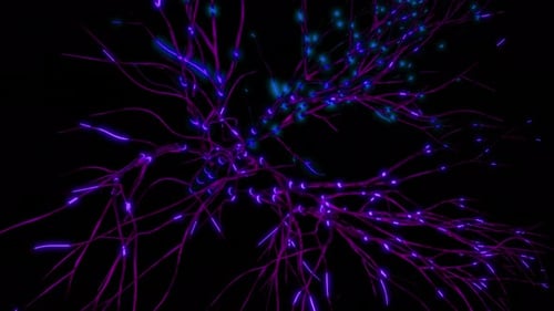 Rede neural 3d com impulsos elétricos