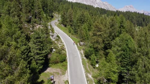 Lush Forest Trees Man on Bicycle Track with a Drone View of the Passo Guiao