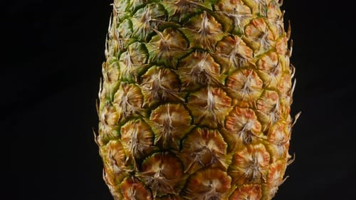 pineapple on black background