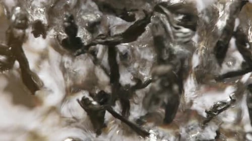 Adding Loose Black Tea to Hot Water