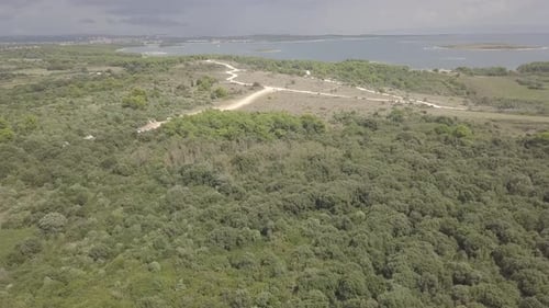 Scenic Aerial View of Lush Forest and Coastline