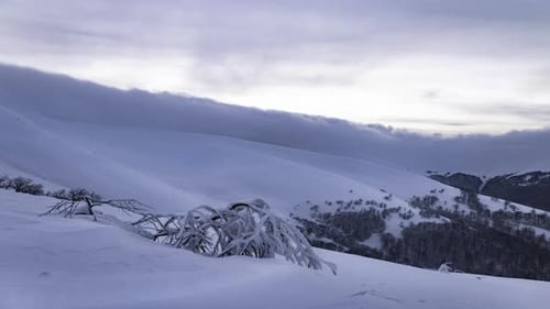 De beaux nuages recouvrent les montagnes enneigées et les forêts des Carpates