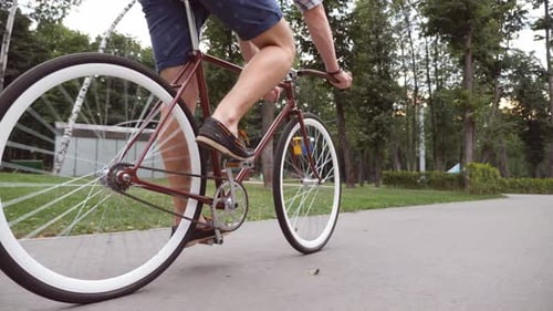 Young Man Riding a Vintage Bicycle at the Park Road. Sporty Guy Cycling Outdoor. Healthy Active