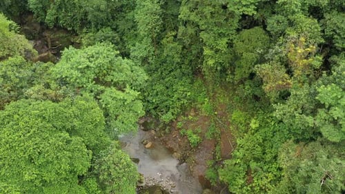 Aerial view of a tropical stream that starts with a normal view and goes to a bird eye view