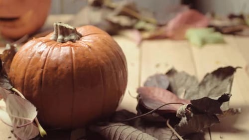 Pumpkins and Leaves on Wooden Table in Autumn