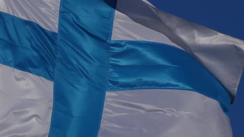 Flag Waving in the Wind