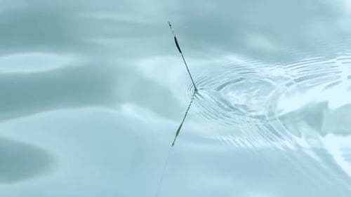 Angelschwimmer sinkt im blauen Wasser am See