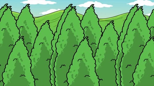 Les arbres dans la forêt 4K