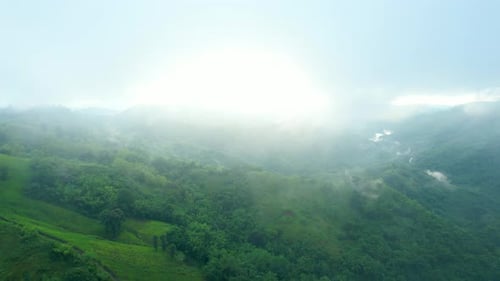 4K Aerial Drone shot flying over beautiful mountain ridge in rural jungle bush forest.