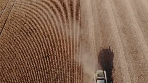 A Combine Harvests Crop in Field