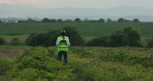 Farm Specialist Engineer Using Technology VR Monitoring Drone Harvest Working for Agriculture