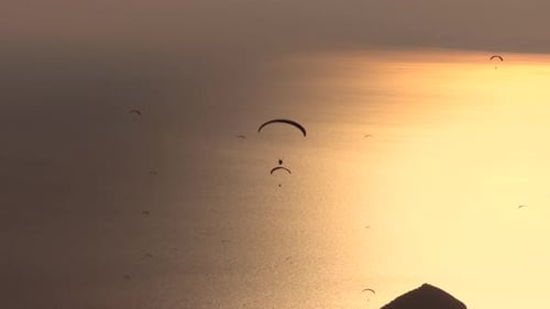 Paragliders Flying With Paragliding in Sky Over the Forest, Mountain Top and Sea