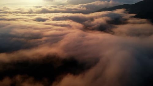 Aerial view: Amazing Thick Morning Fog Covering Mountains Spice and Spruce Forest.