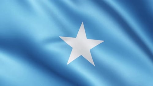 Realistic Waving Flag of Somalia Animation