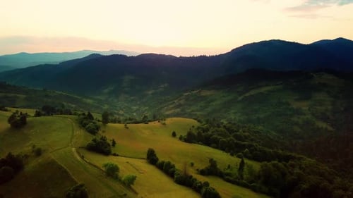 Aerial View of the Endless Lush Pastures of the Carpathian Expanses and Agricultural Land