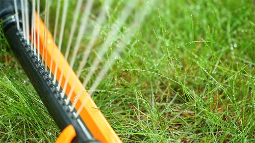 Watering The Lawn