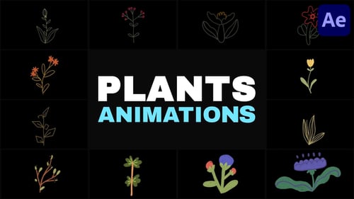 Nature Plants Kids Drawings Animation for After Effects