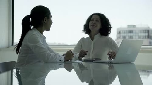Multiethnic Businesswomen Talking in Office