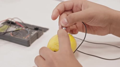 Verbindungskabel zu Lemon