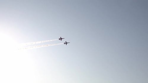Flugshow