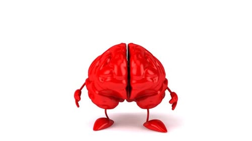Fun brain