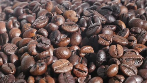 Dark roasted coffee beans 4K panning video