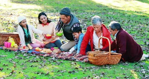 Family having picnic in the park