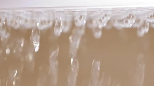 Water Pouring From Shower Head in Bathroom