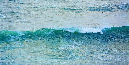 Ocean Waves