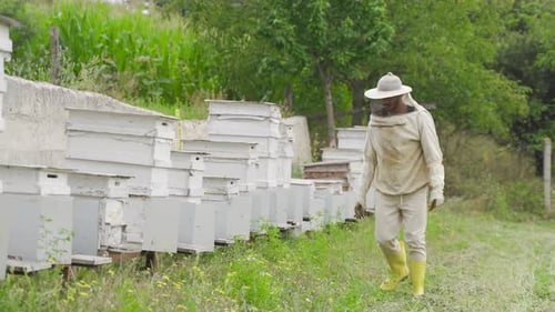 Honey production.