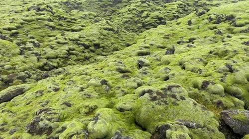 Flying Over Eldhraun Lava Field in Iceland