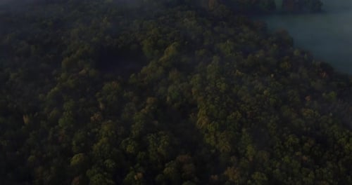 Top down aerial shot of dense Autumnal woodland, with thick fog and a pan up reveal of the horizon.