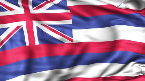 Realistic Waving Hawaii State Flag