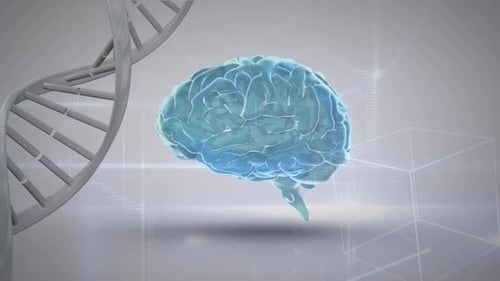 Animated DNA Helix and Brain with Scientific Data Background