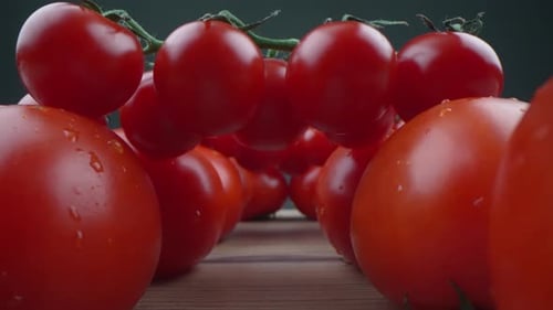 Tomatoes Rain