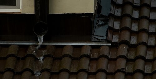 Roof and Rain