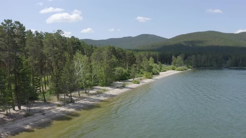 Coast of a wild beach near a pine forest against the backdrop of mountain peaks