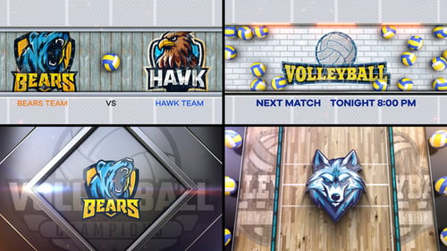 Volleyball Bumper 3 (4-Bumpers)