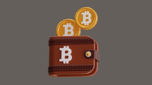3D Animation of Bitcoin wallets store currency