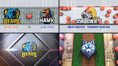 Cricket Bumper 4 (4-Bumpers)