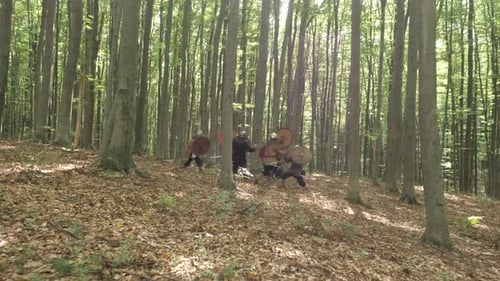 Medieval Warriors in Armor Battle in the Forest