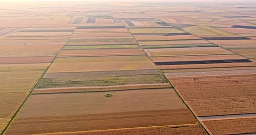Aerial drone shot of various agricultural crop fields at farm