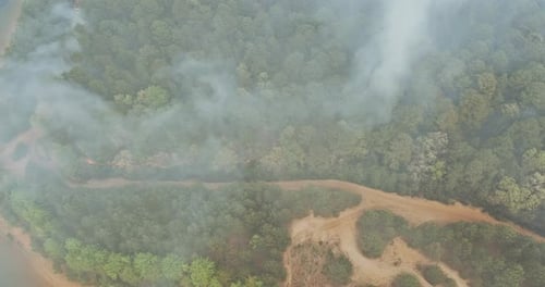 Aerial View a Smoke Coming From a Trees on Fire in the Forest